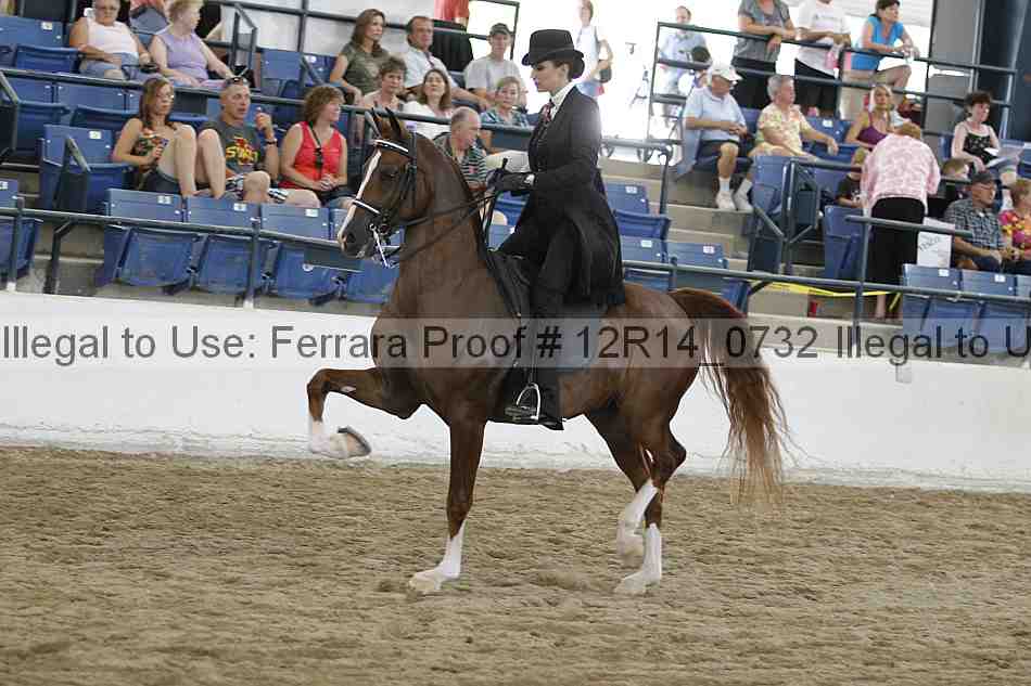 Proof Number 12r14_0732