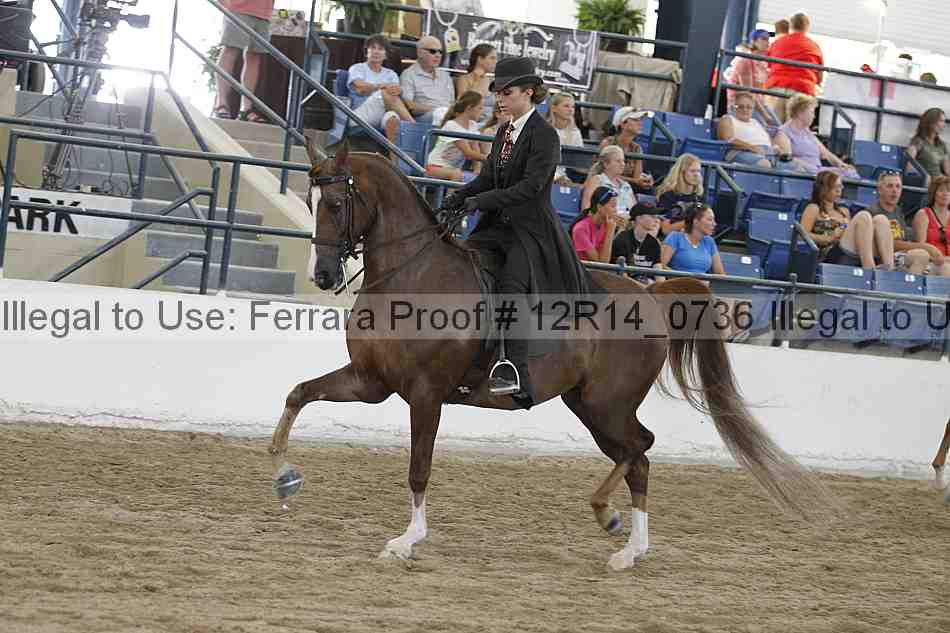 Proof Number 12r14_0736
