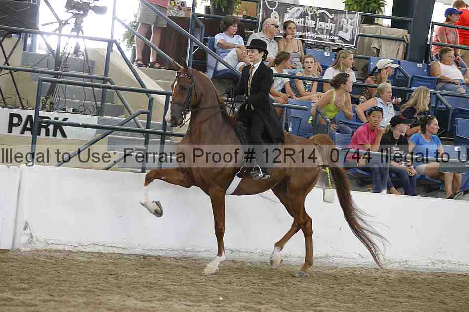 Proof Number 12r14_0744