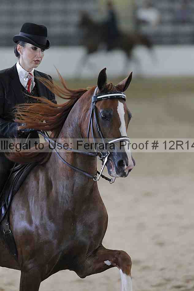 Proof Number 12r14_0748