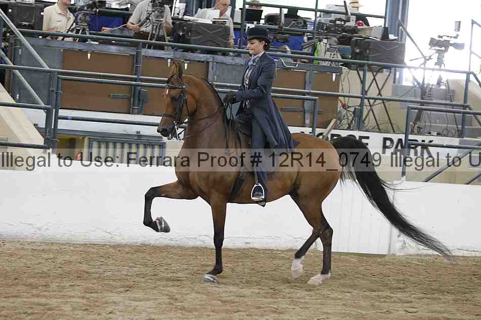 Proof Number 12r14_0749