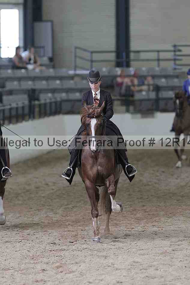 Proof Number 12r14_0750