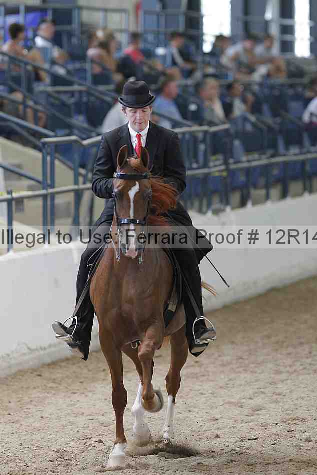 Proof Number 12r14_0751