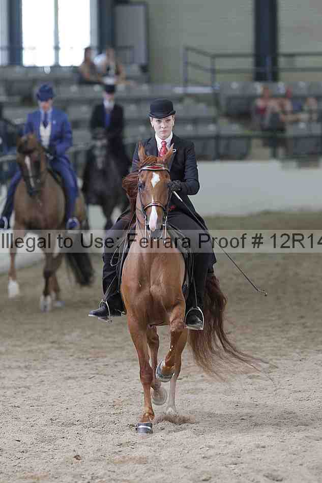 Proof Number 12r14_0752