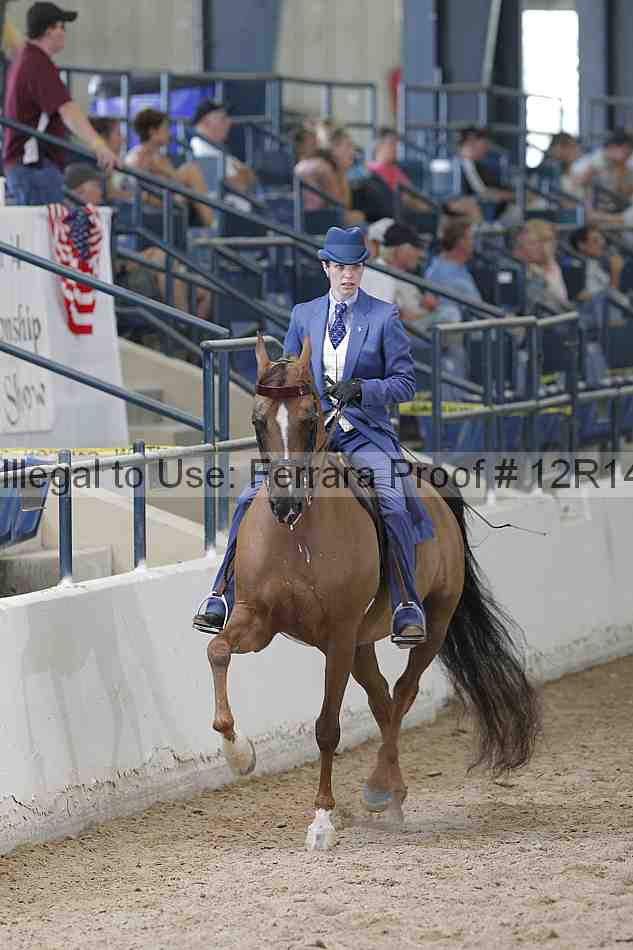 Proof Number 12r14_0753