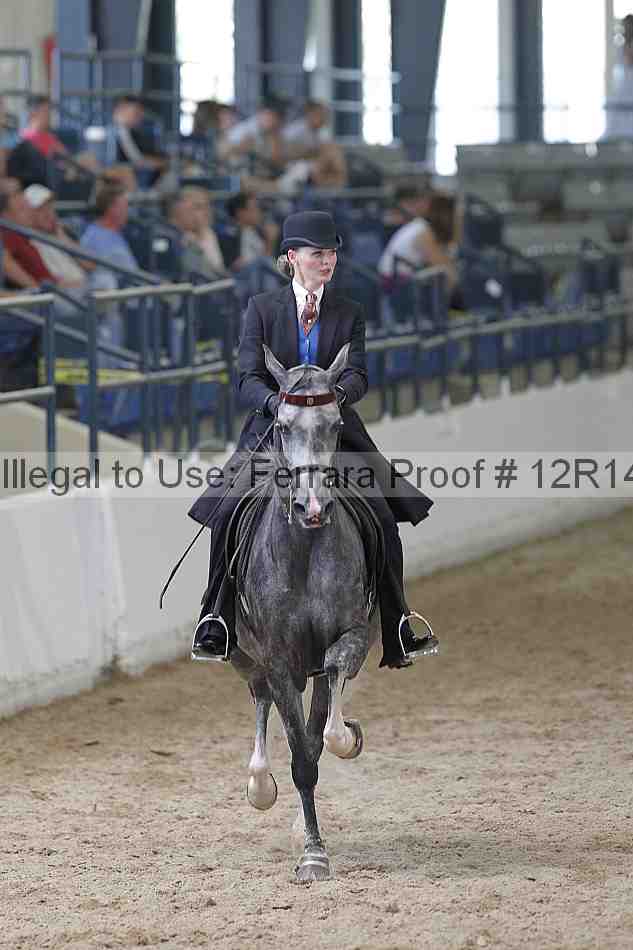 Proof Number 12r14_0755