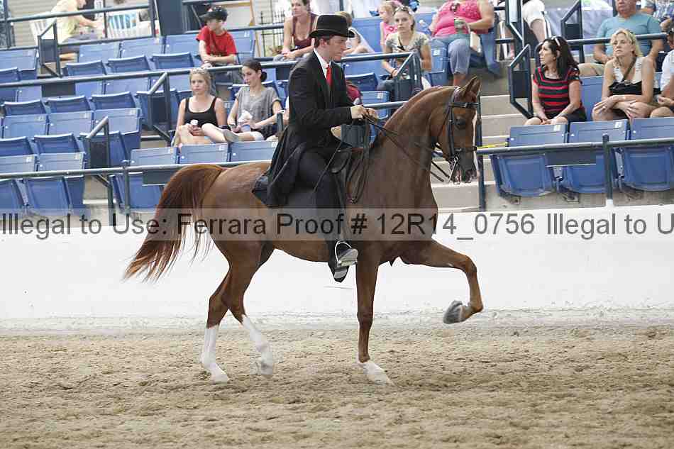 Proof Number 12r14_0756