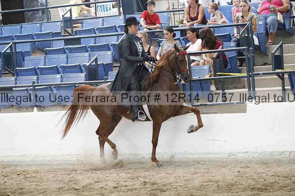 Proof Number 12r14_0757
