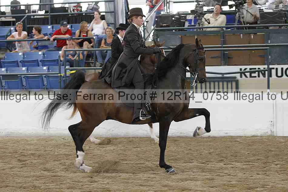 Proof Number 12r14_0758