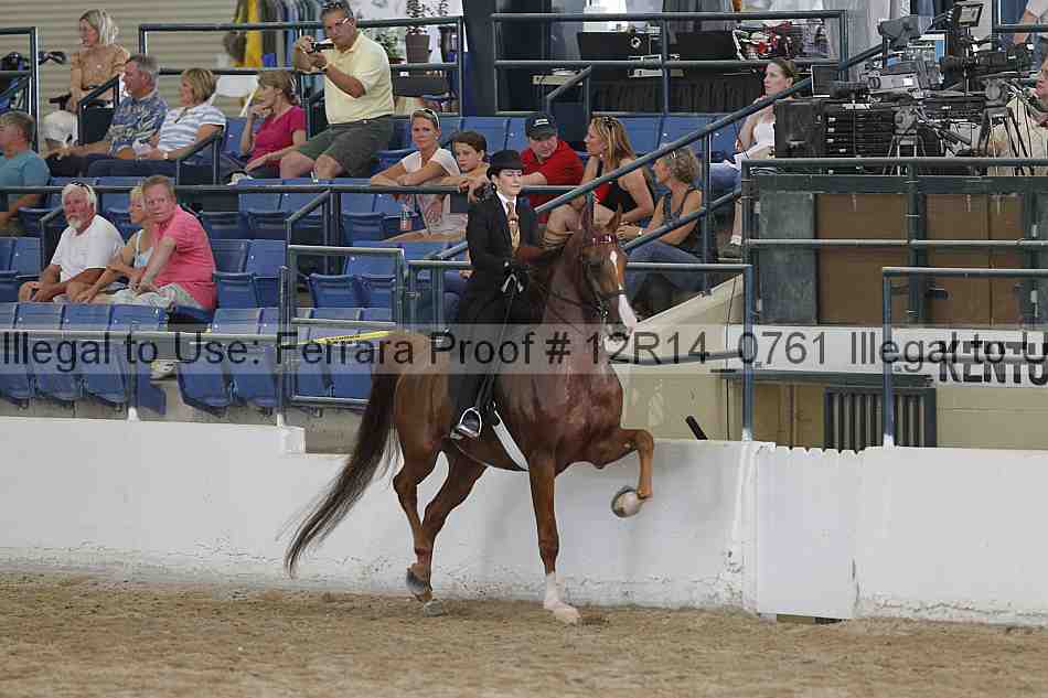 Proof Number 12r14_0761