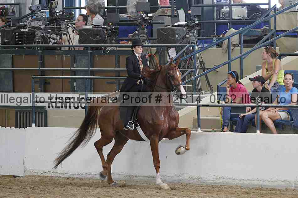Proof Number 12r14_0762