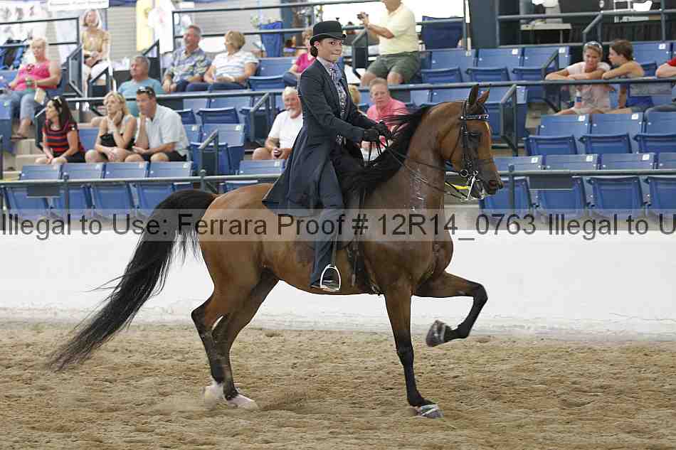 Proof Number 12r14_0763