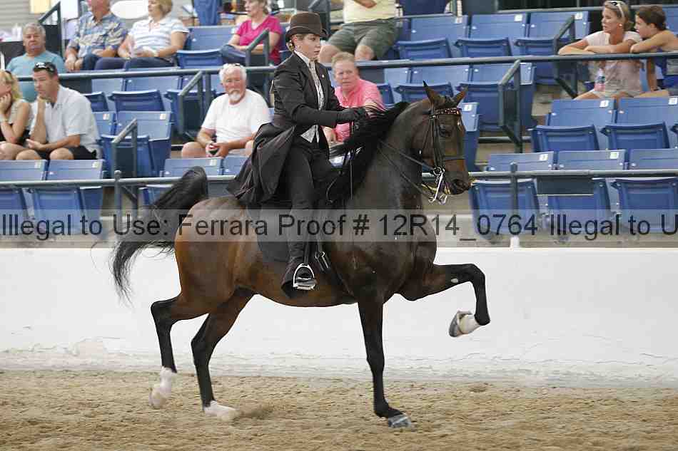 Proof Number 12r14_0764