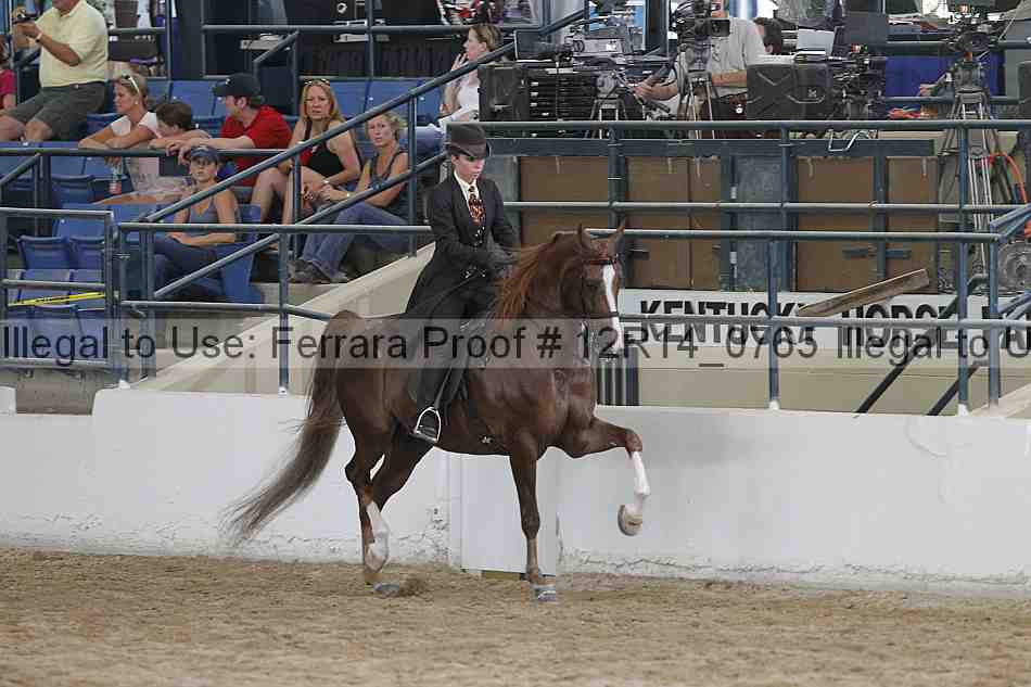 Proof Number 12r14_0765