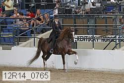 12r14_0765 thumbnail