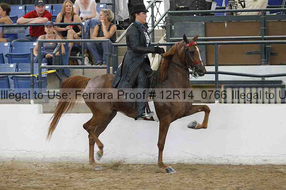 Proof Number 12r14_0766