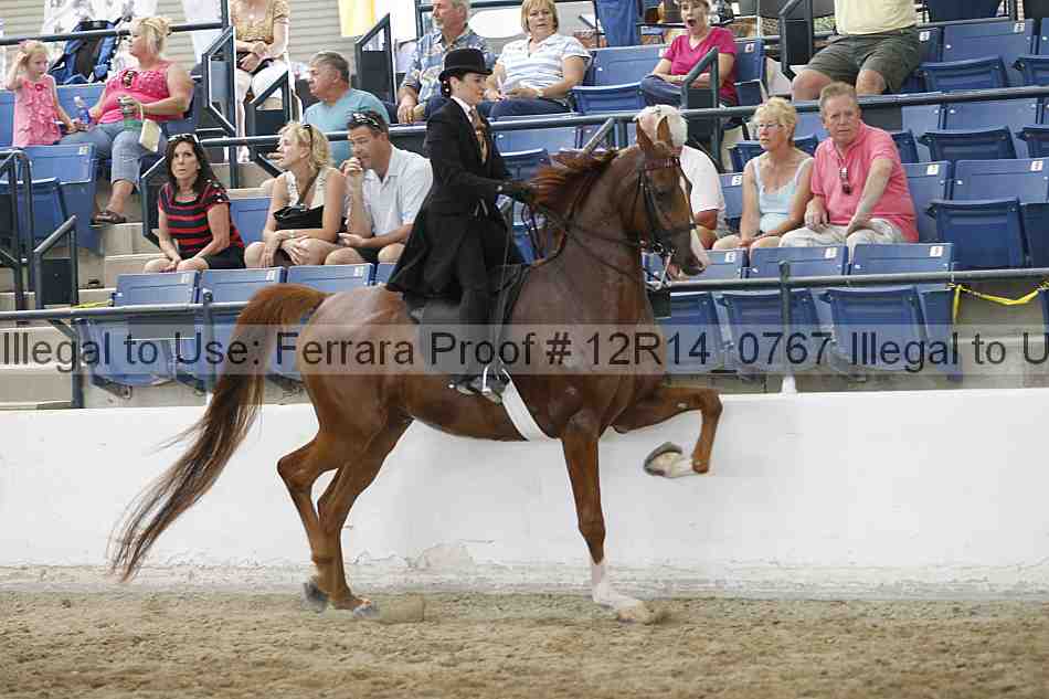 Proof Number 12r14_0767