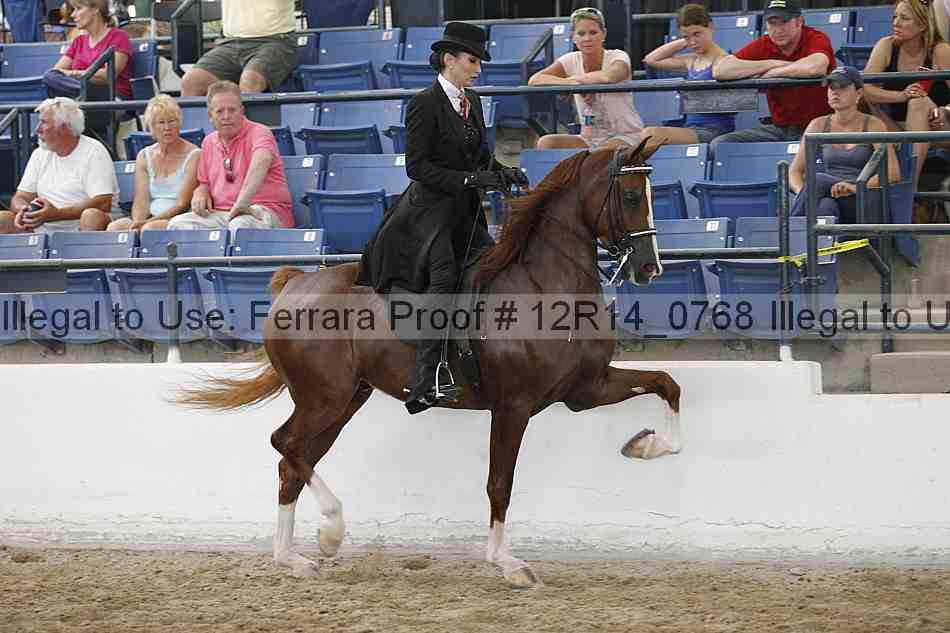 Proof Number 12r14_0768