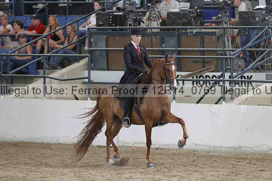 Proof Number 12r14_0769