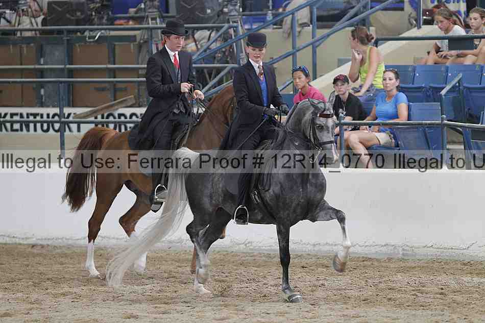 Proof Number 12r14_0770