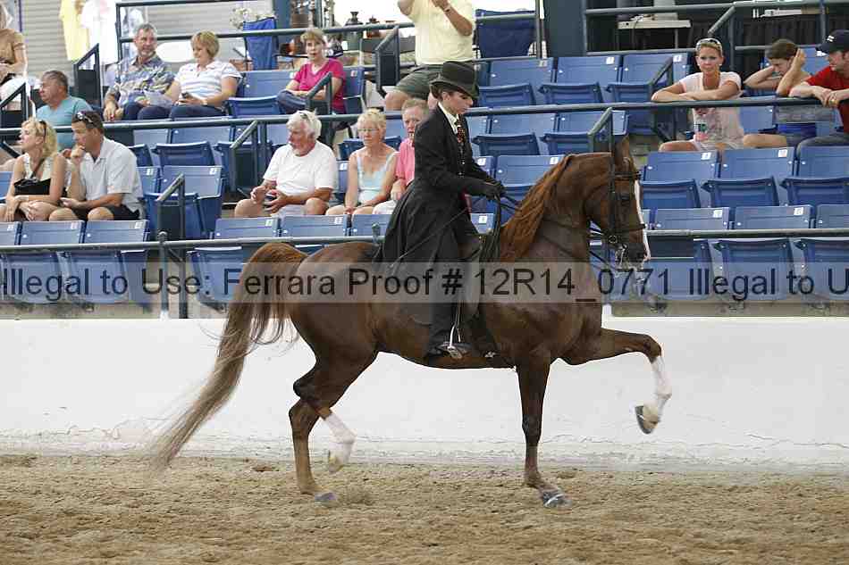 Proof Number 12r14_0771