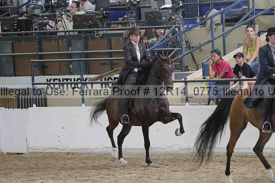 Proof Number 12r14_0775