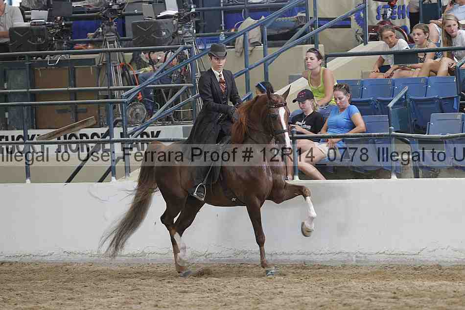 Proof Number 12r14_0778