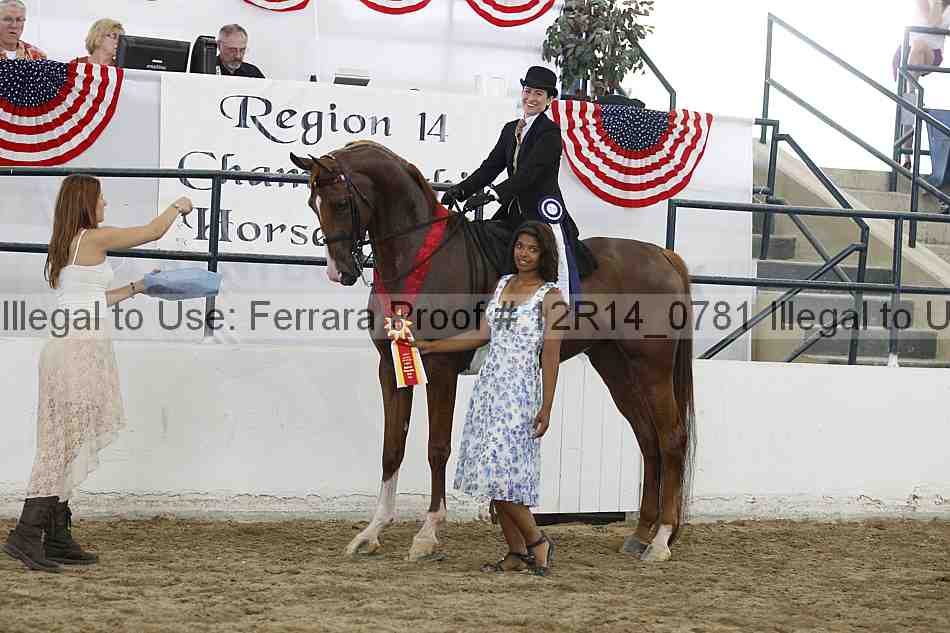 Proof Number 12r14_0781