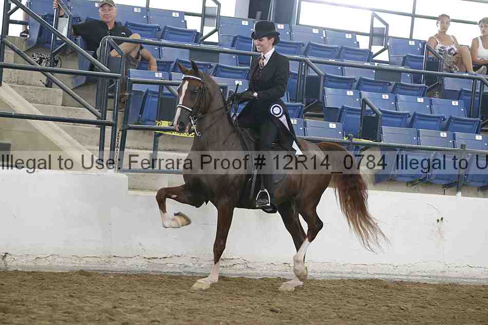 Proof Number 12r14_0784