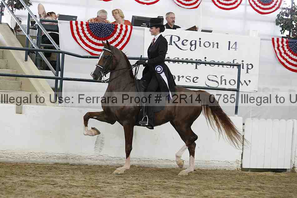 Proof Number 12r14_0785