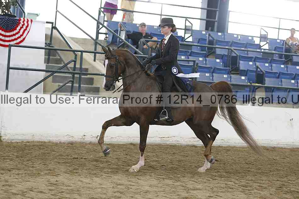 Proof Number 12r14_0786