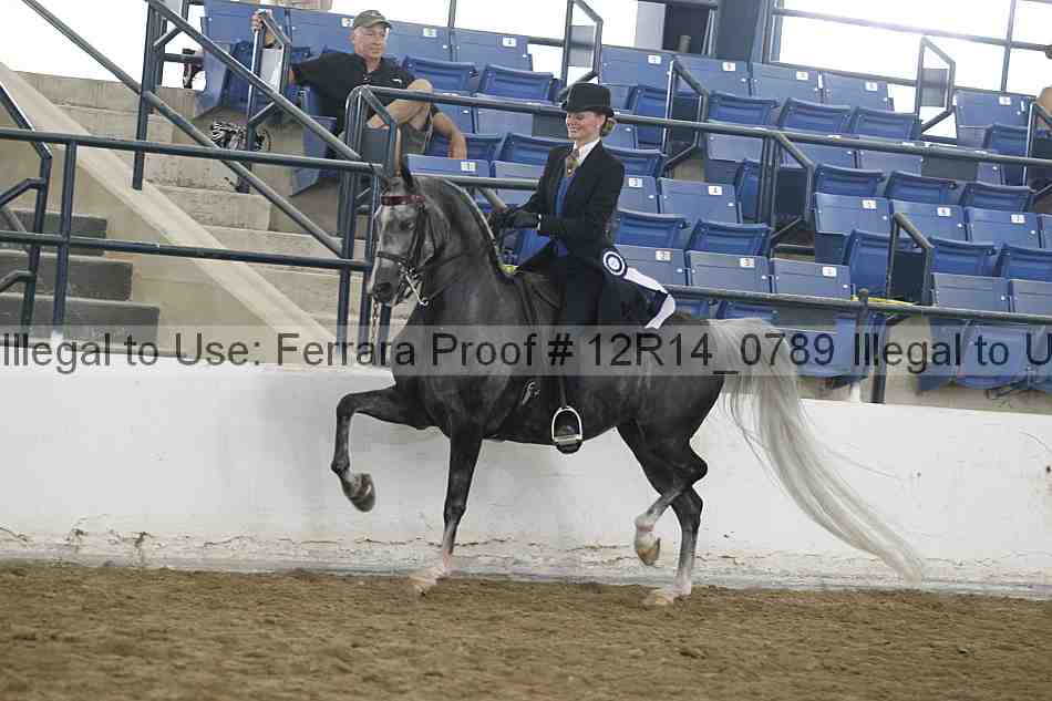 Proof Number 12r14_0789