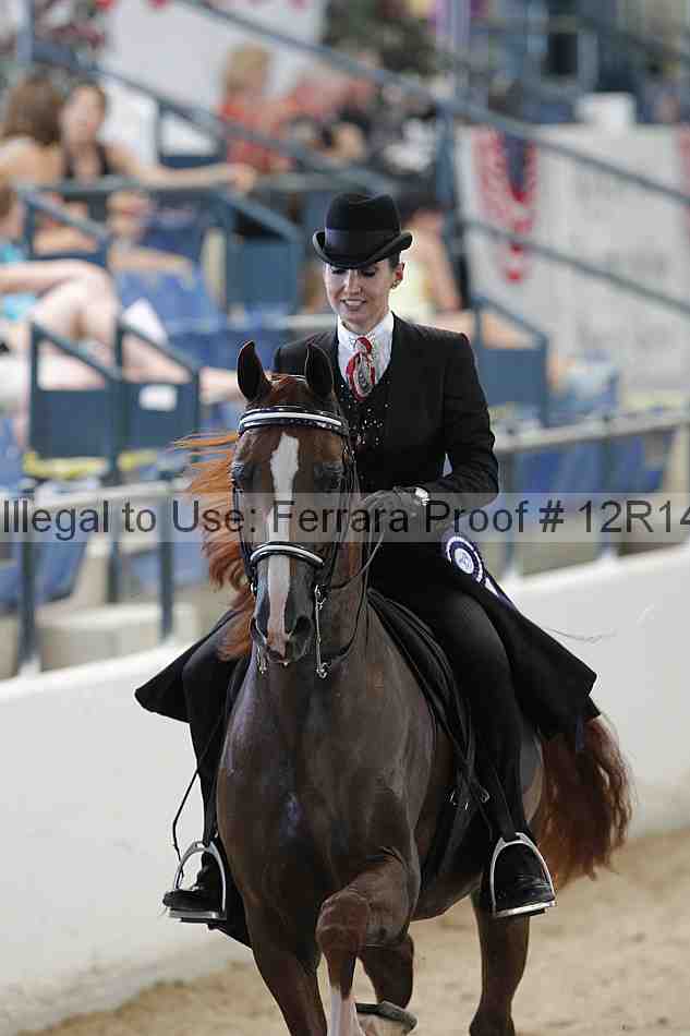 Proof Number 12r14_0795