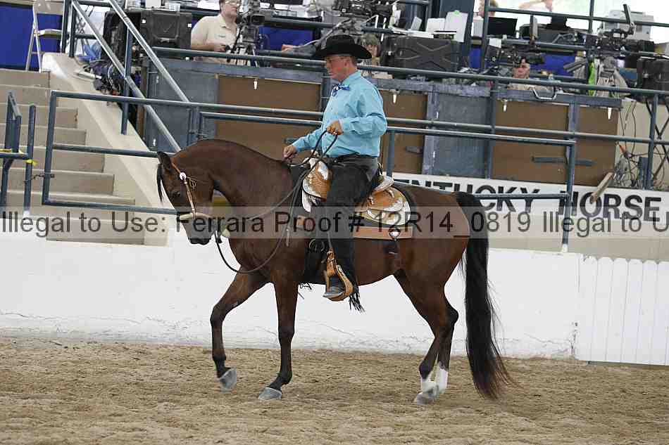 Proof Number 12r14_0819