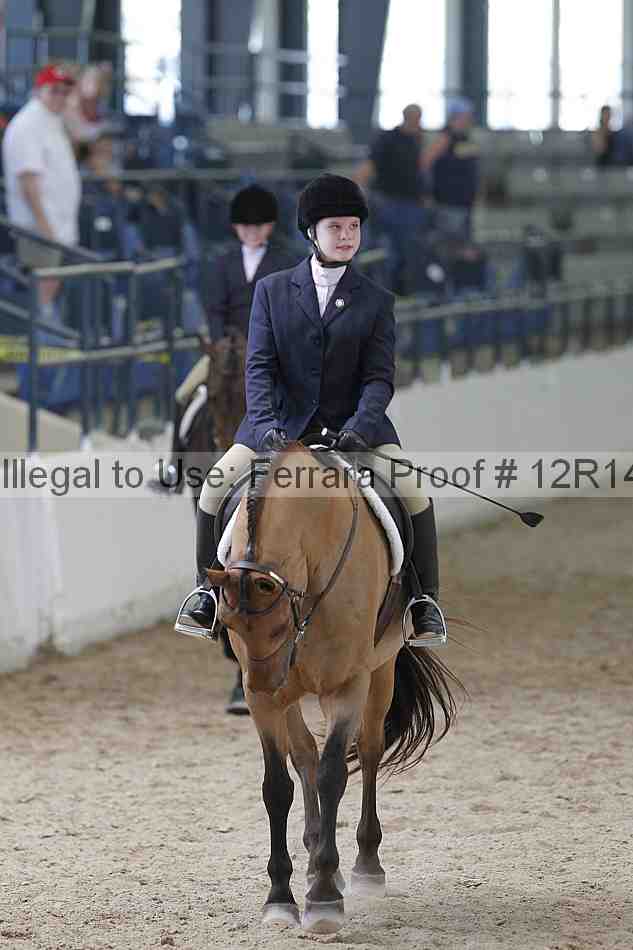 Proof Number 12r14_0909