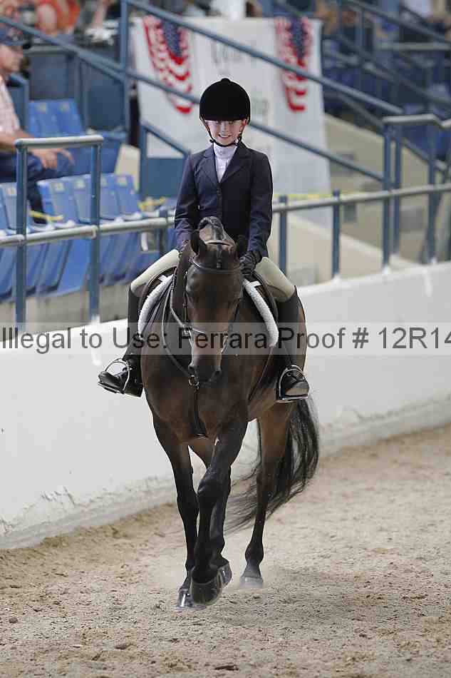 Proof Number 12r14_0910