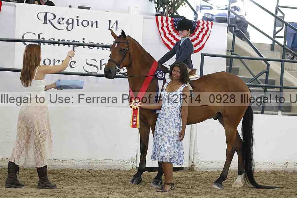 Proof Number 12r14_0928