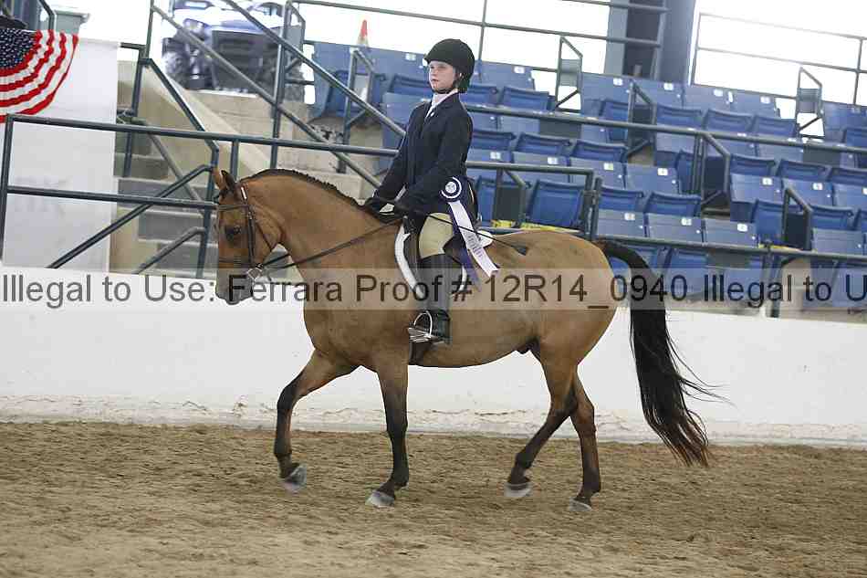 Proof Number 12r14_0940