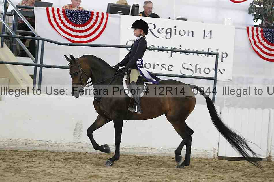 Proof Number 12r14_0944