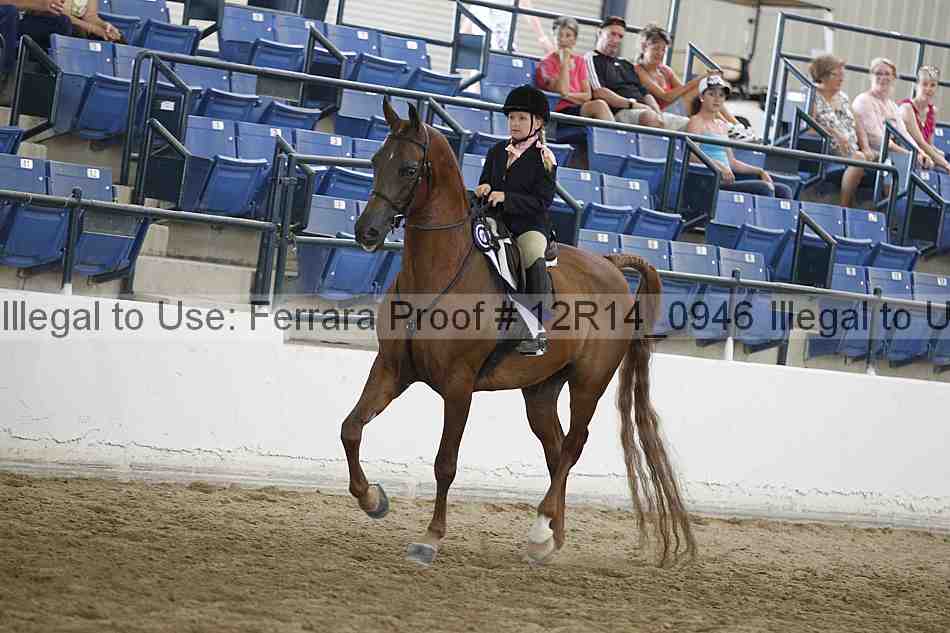 Proof Number 12r14_0946