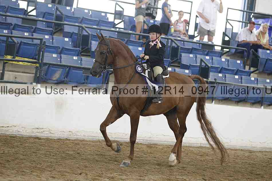 Proof Number 12r14_0947