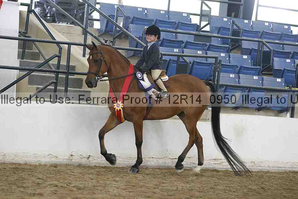 Proof Number 12r14_0950
