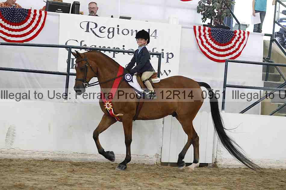 Proof Number 12r14_0951