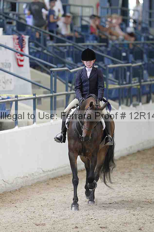 Proof Number 12r14_0952