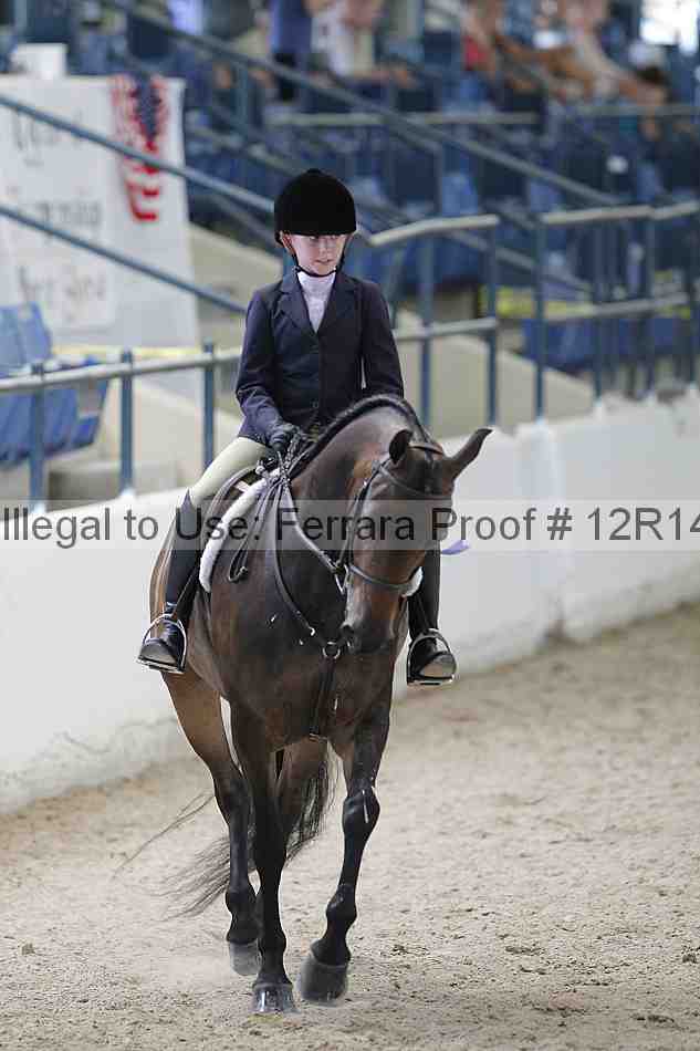 Proof Number 12r14_0954