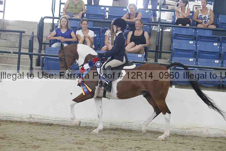 Proof Number 12r14_0960