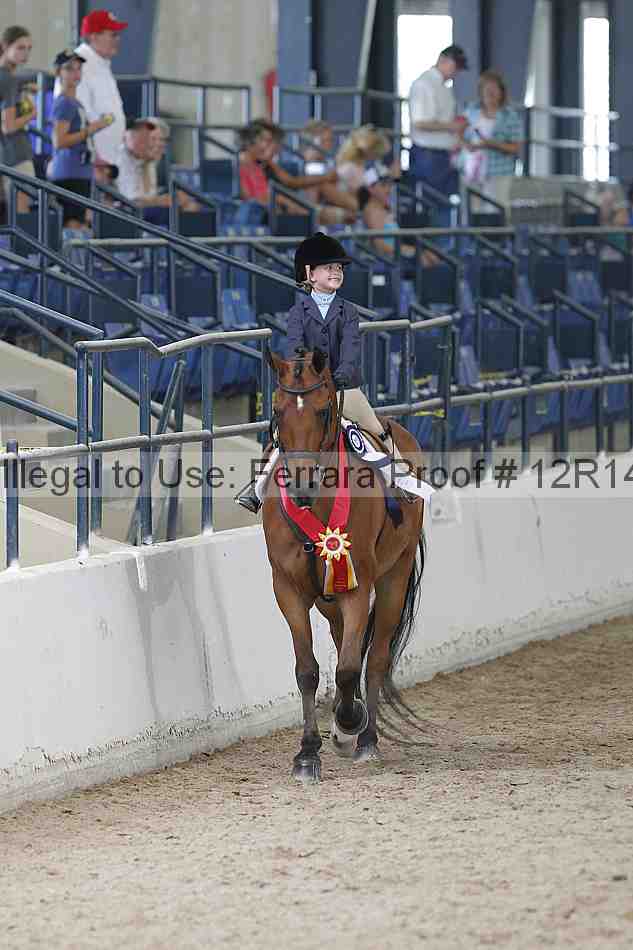 Proof Number 12r14_0963