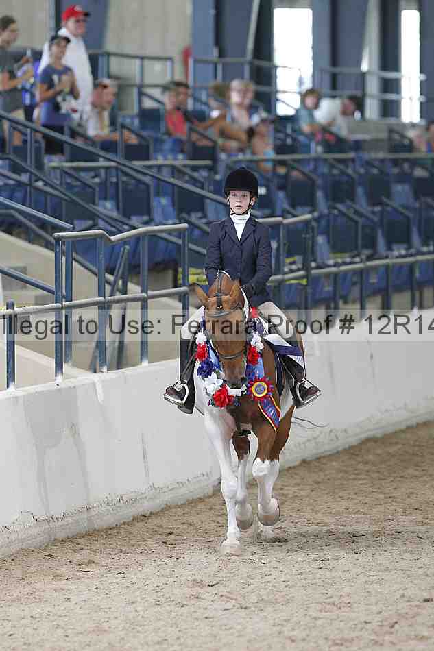 Proof Number 12r14_0970