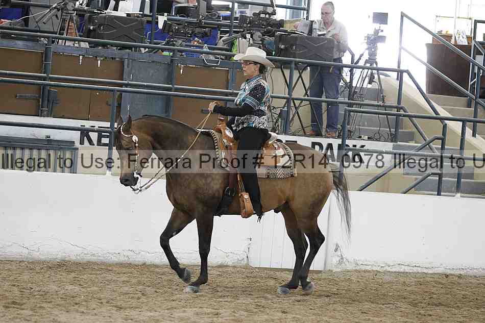 Proof Number 12r14_0978