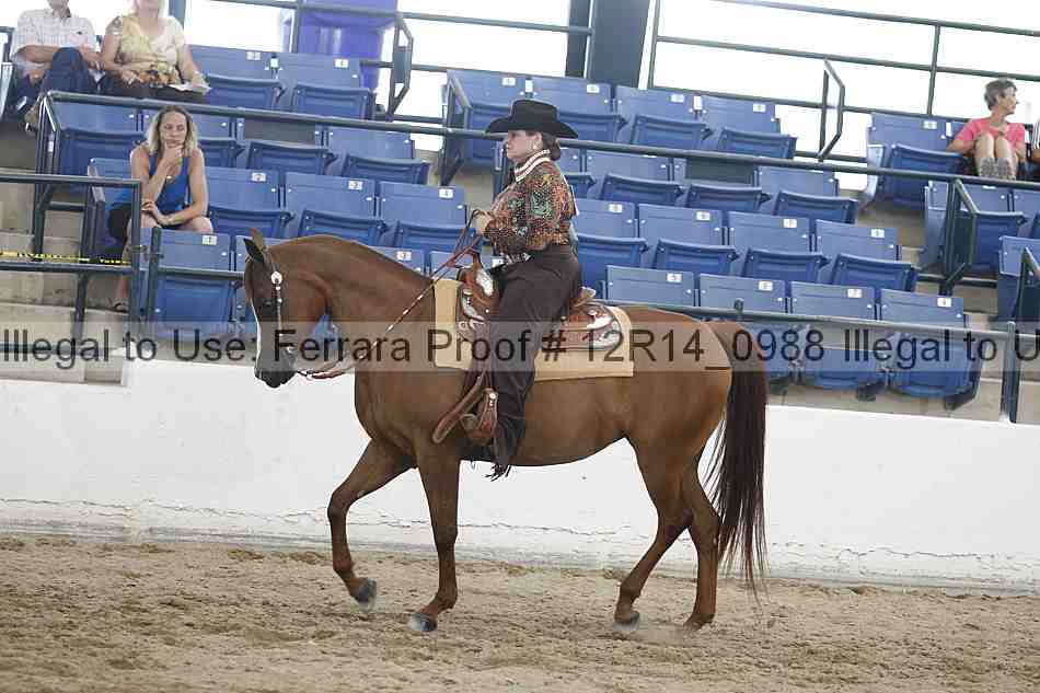 Proof Number 12r14_0988